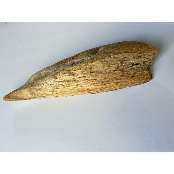 Driftwood from Hetch Hetchy dam 12 inches aquarium art decor - Picture 2 of 9